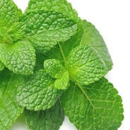 peppermint oil